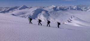 Wapta Icefield Traverse with summit mountain guides