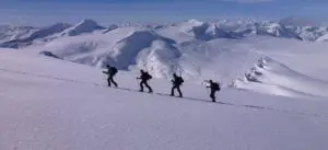 Wapta Icefield Traverse with summit mountain guides