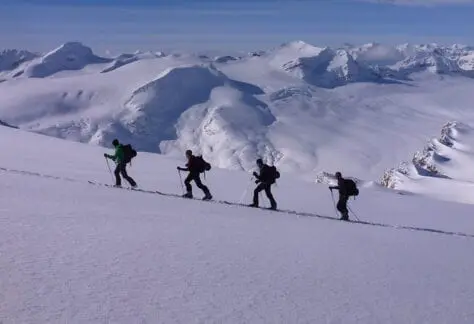 Wapta Icefield Traverse with summit mountain guides