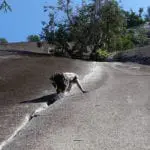 Squamish Rock Climbing with summit mountain guides