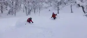 Japan Powder Safaris with summit mountain guides