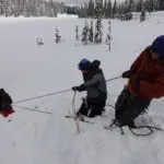 Ski Mountaineering with summit mountain guides