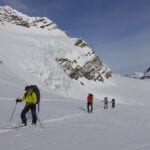 Wapta Icefield Traverse with summit mountain guides