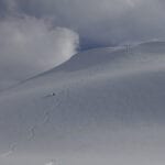 Wapta Icefield Traverse with summit mountain guides