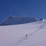 Wapta Icefield Traverse with summit mountain guides