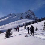 Lake Louise Ski Touring