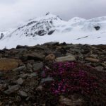 Svalbard Ski & Sail with summit mountain guides