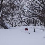 Japan Powder Safaris with summit mountain guides