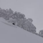 Japan Powder Safaris with summit mountain guides