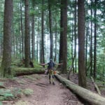 Squamish Rock Climbing with summit mountain guides