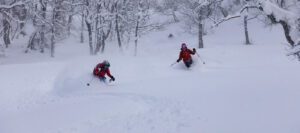 Japan Powder Safaris with summit mountain guides