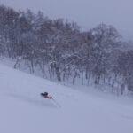 Japan Powder Safaris with summit mountain guides