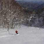 Japan Powder Safaris with summit mountain guides