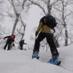 Japan Powder Safaris with summit mountain guides