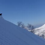 Japan Powder Safaris with summit mountain guides