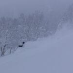 Japan Powder Safaris with summit mountain guides