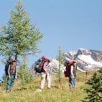 Daily Guided Hiking With Summit Mountain Guides